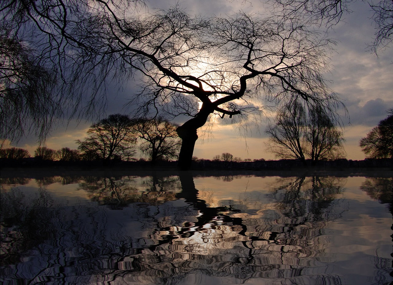 LAW #3: THE COSMIC MIRROR - EXPLORING THE LAW OF CORRESPONDENCE
