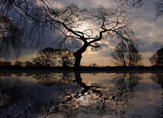 LAW #3: THE COSMIC MIRROR - EXPLORING THE LAW OF CORRESPONDENCE
